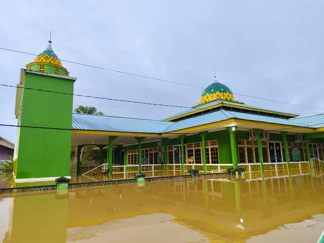 Perkembangan Situasi dan Penanganan Bencana Tanggal 22 Maret 2025